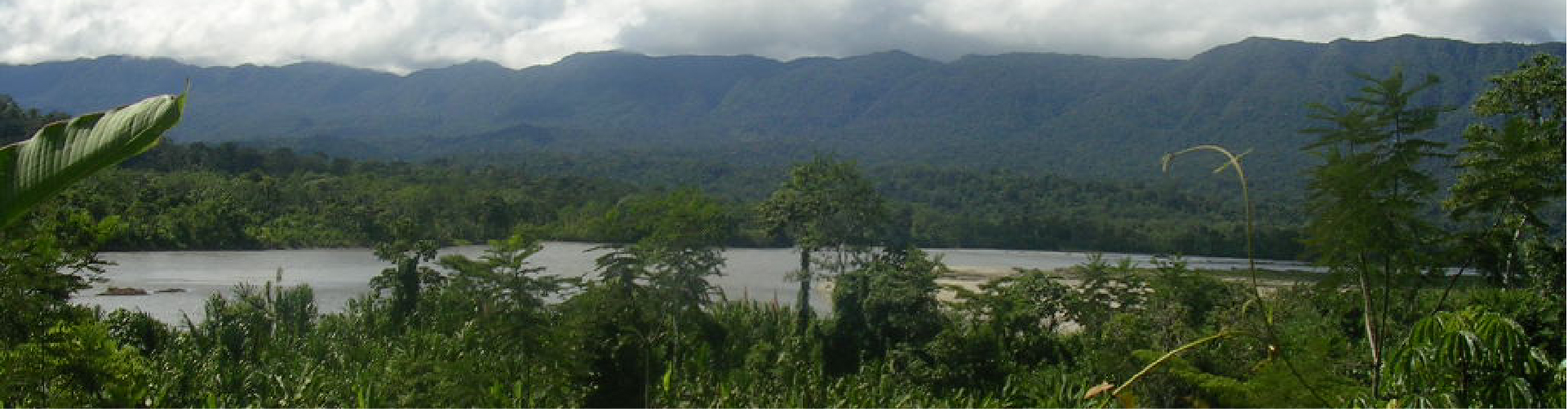 Amazon Peru