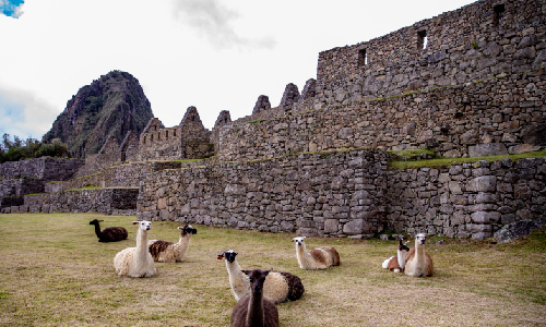 Plaza Principal de Machu Picchu