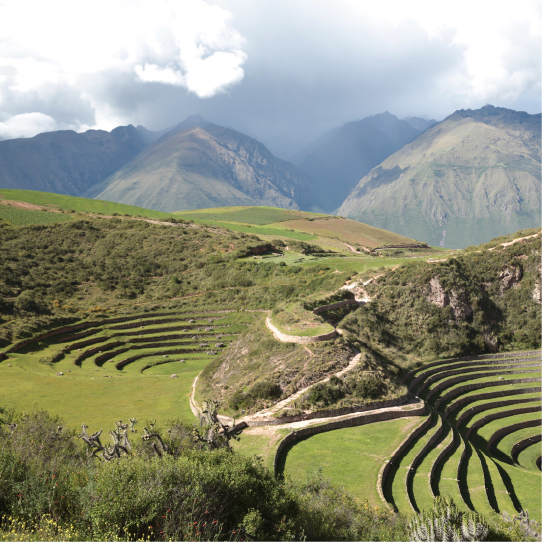 Moray view