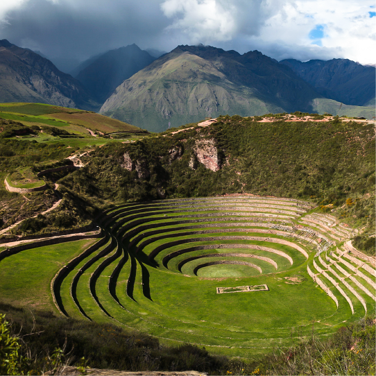 Moray