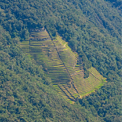 Andean Experience